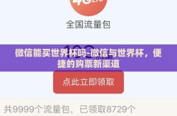 微信能买世界杯吗-微信与世界杯，便捷的购票新渠道