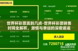 世界杯彩票卖到几点-世界杯彩票销售时间全解析，激情与幸运的深夜邂逅
