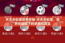天天中彩票世界杯板-天天中彩票，世界杯版图下的梦想与现实