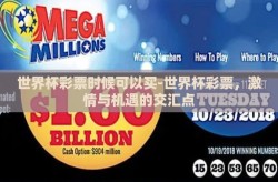 世界杯彩票时候可以买-世界杯彩票，激情与机遇的交汇点