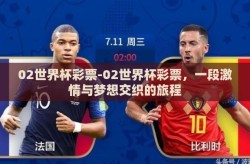 02世界杯彩票-02世界杯彩票，一段激情与梦想交织的旅程