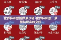 世界杯彩票能挣多少钱-世界杯彩票，梦想与现实的交织