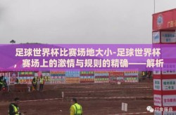 足球世界杯比赛场地大小-足球世界杯，赛场上的激情与规则的精确——解析比赛场地大小