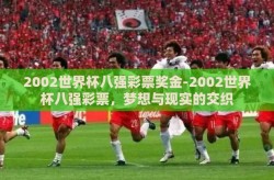 2002世界杯八强彩票奖金-2002世界杯八强彩票，梦想与现实的交织