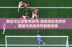 微信可以买世界杯吗-微信购彩世界杯，便捷与风险并存的新选择