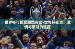 世界杯可以买那些彩票-世界杯彩票，激情与策略的碰撞