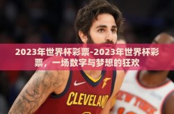 2023年世界杯彩票-2023年世界杯彩票，一场数字与梦想的狂欢