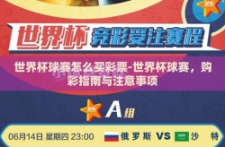 世界杯球赛怎么买彩票-世界杯球赛，购彩指南与注意事项