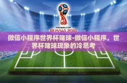 微信小程序世界杯赌球-微信小程序，世界杯赌球现象的冷思考