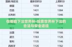 在哪能下注世界杯-探索世界杯下注的合法与安全途径