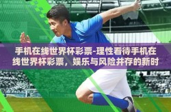 手机在线世界杯彩票-理性看待手机在线世界杯彩票，娱乐与风险并存的新时代