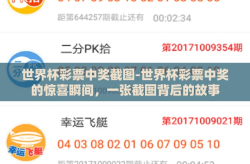 世界杯彩票中奖截图-世界杯彩票中奖的惊喜瞬间，一张截图背后的故事