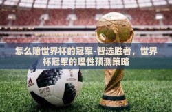 怎么赌世界杯的冠军-智选胜者，世界杯冠军的理性预测策略