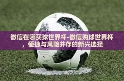 微信在哪买球世界杯-微信购球世界杯，便捷与风险并存的新兴选择