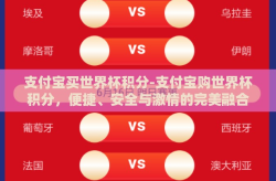 支付宝买世界杯积分-支付宝购世界杯积分，便捷、安全与激情的完美融合