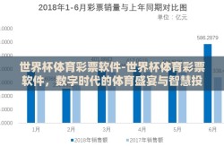 世界杯体育彩票软件-世界杯体育彩票软件,数字时代的体育盛宴与智慧投注新选择