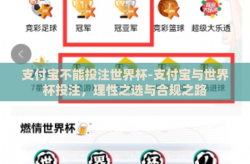 支付宝不能投注世界杯-支付宝与世界杯投注，理性之选与合规之路