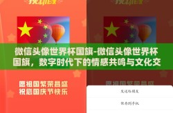 微信头像世界杯国旗-微信头像世界杯国旗，数字时代下的情感共鸣与文化交流