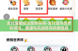 支付宝能投注世界杯吗-支付宝与世界杯投注，便捷与风险并存的新选择