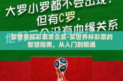 买世界杯彩票怎么买-买世界杯彩票的智慧指南，从入门到精通