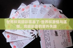 世界杯竞猜彩票丢了-世界杯激情与遗憾，竞猜彩票的意外失踪