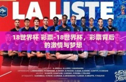 18世界杯 彩票-18世界杯，彩票背后的激情与梦想