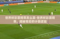 世界杯彩票赔率怎么算-世界杯彩票赔率，揭秘背后的计算逻辑