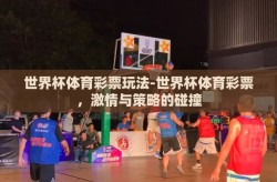 世界杯体育彩票玩法-世界杯体育彩票，激情与策略的碰撞