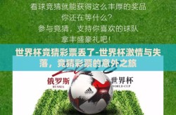 世界杯竞猜彩票丢了-世界杯激情与失落，竞猜彩票的意外之旅