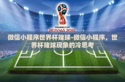 微信小程序世界杯赌球-微信小程序，世界杯赌球现象的冷思考