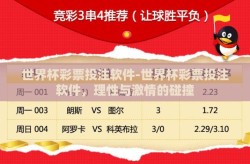 世界杯彩票投注软件-世界杯彩票投注软件，理性与激情的碰撞