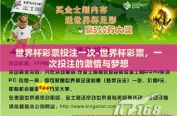 世界杯彩票投注一次-世界杯彩票，一次投注的激情与梦想