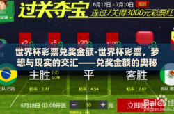 世界杯彩票兑奖金额-世界杯彩票，梦想与现实的交汇——兑奖金额的奥秘