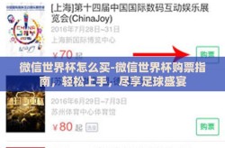 微信世界杯怎么买-微信世界杯购票指南，轻松上手，尽享足球盛宴
