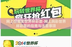 网上在哪买世界杯彩票-网上购彩世界杯彩票的指南与注意事项