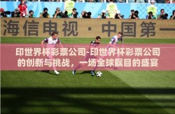 印世界杯彩票公司-印世界杯彩票公司的创新与挑战，一场全球瞩目的盛宴