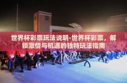 世界杯彩票玩法说明-世界杯彩票，解锁激情与机遇的独特玩法指南