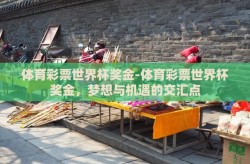 体育彩票世界杯奖金-体育彩票世界杯奖金，梦想与机遇的交汇点