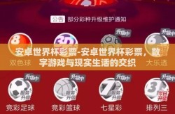 安卓世界杯彩票-安卓世界杯彩票，数字游戏与现实生活的交织