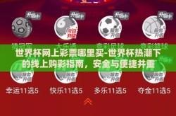 世界杯网上彩票哪里买-世界杯热潮下的线上购彩指南，安全与便捷并重