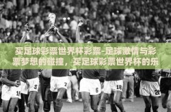 买足球彩票世界杯彩票-足球激情与彩票梦想的碰撞，买足球彩票世界杯的乐趣与挑战