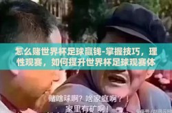 怎么赌世界杯足球赢钱-掌握技巧，理性观赛，如何提升世界杯足球观赛体验