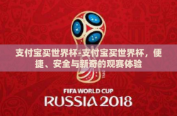 支付宝买世界杯-支付宝买世界杯，便捷、安全与新奇的观赛体验