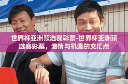 世界杯亚洲预选赛彩票-世界杯亚洲预选赛彩票，激情与机遇的交汇点