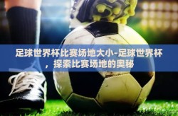 足球世界杯比赛场地大小-足球世界杯，探索比赛场地的奥秘