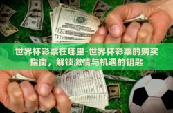 世界杯彩票在哪里-世界杯彩票的购买指南，解锁激情与机遇的钥匙
