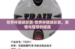 世界杯猜球彩票-世界杯猜球彩票，激情与智慧的碰撞