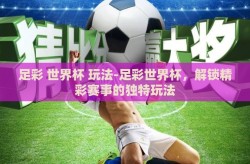 足彩 世界杯 玩法-足彩世界杯，解锁精彩赛事的独特玩法