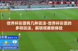 世界杯彩票有几种买法-世界杯彩票的多样玩法，解锁观赛新体验
