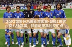 2002世界杯八强彩票奖金-2002世界杯八强彩票，梦想与现实的交汇点